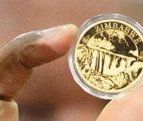 Zimbabwe gold (ZiG)