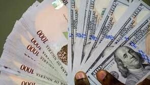 A picture of the Nigerian one thousand naira note and the dollar bill placed side by side.