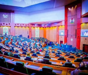 The Chamber of The House of Representatives, Nigeria.
