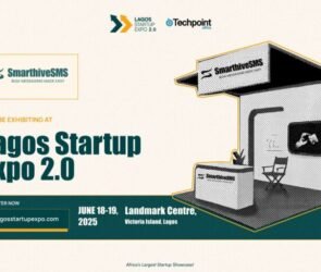 Lagos Startup 2.0