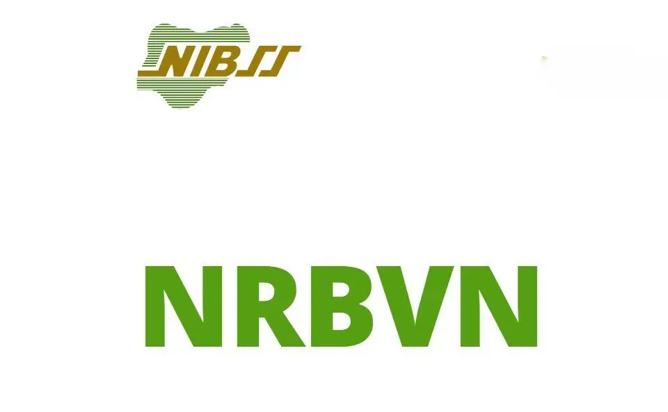 CBN Launches NRBVN for Nigerians Abroad