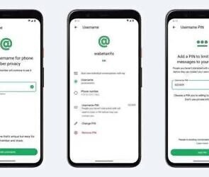 An image of WhatsApp username icon