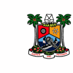 An image of Lagos flag