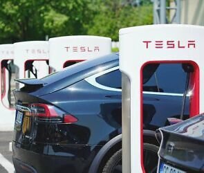 An image showing Tesla cars at the park.