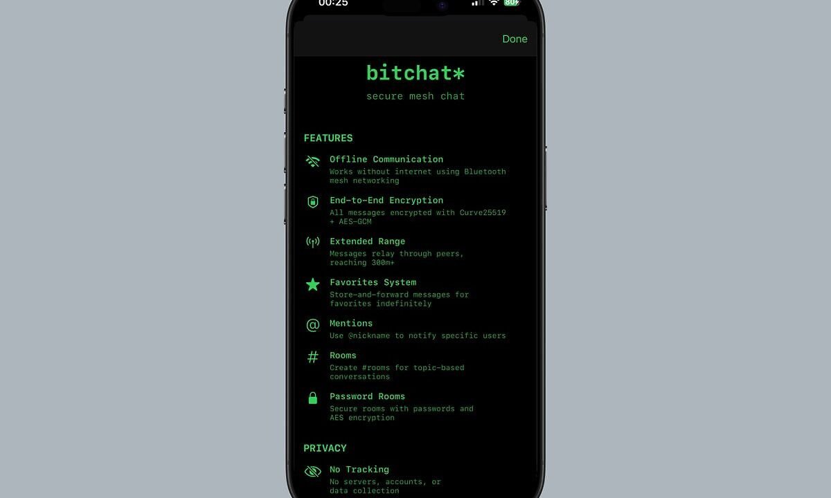 A mock up of Bitchat