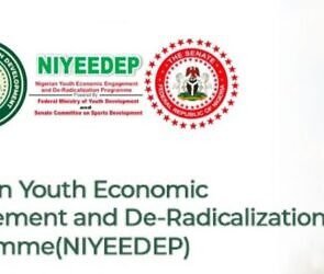 Nigeria launches $2.5B YEIDEP campaign to Empower Youth