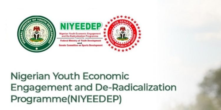 Nigeria launches $2.5B YEIDEP campaign to Empower Youth