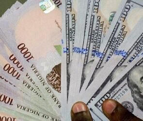 Naira Strengthens to N1,565 Per Dollar as IMF Backs CBN’s Tight Monetary Policy