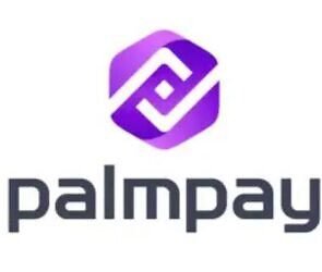 An image logo of palmpay