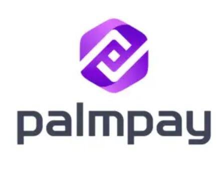 An image logo of palmpay