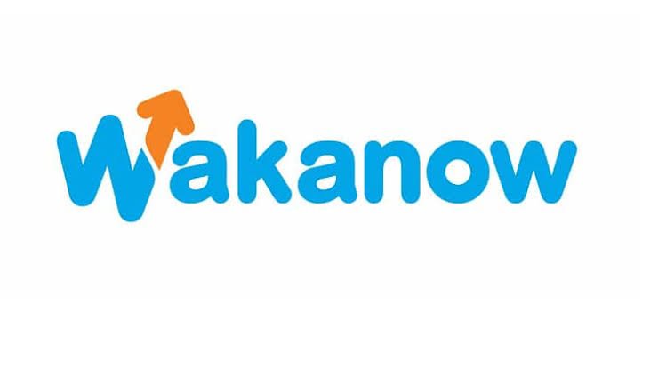 Wakanow logo