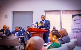 Project Bridge - Bosun Tijani